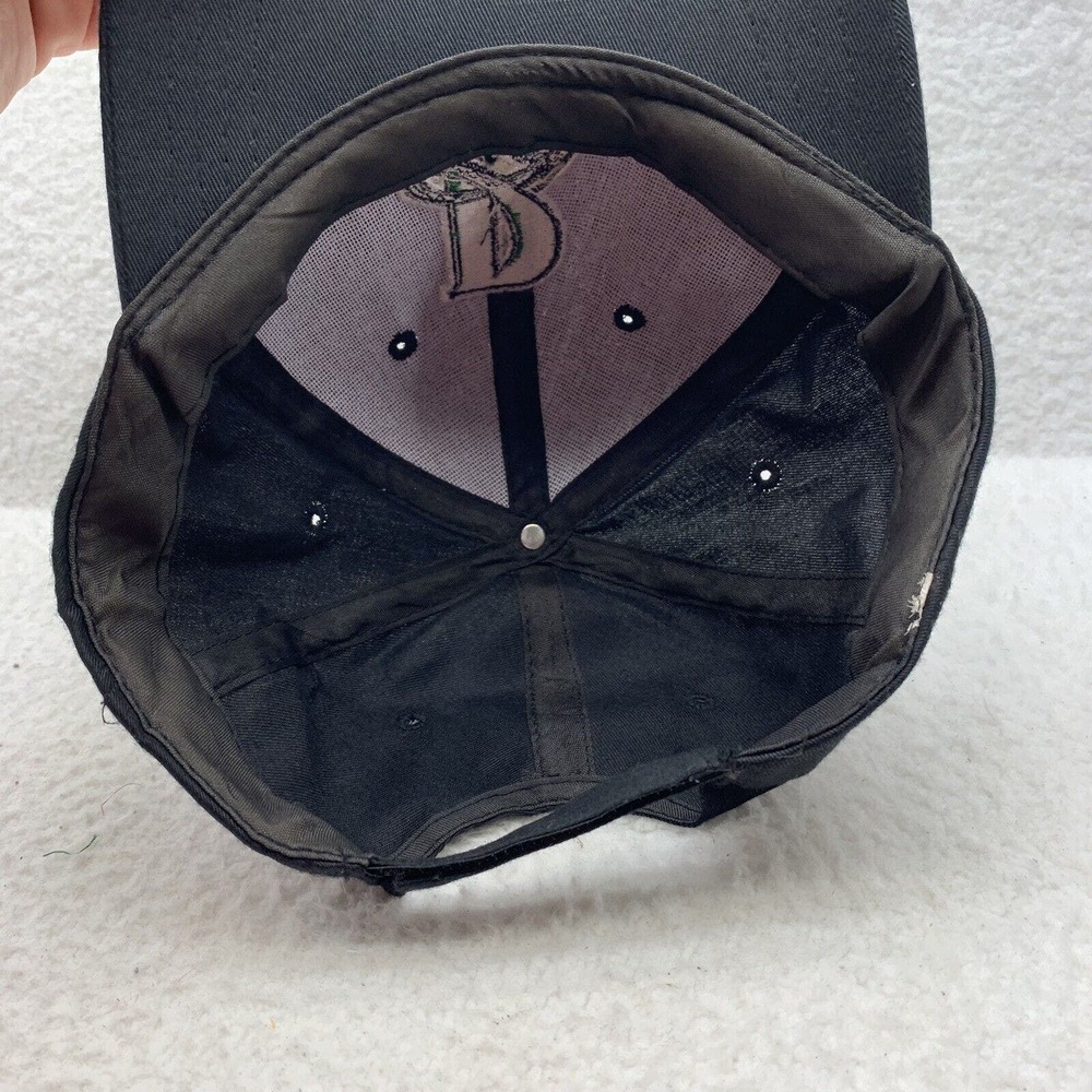 Dayton Dragons Baseball Hat Mens OSFM‎ Hook Loop Black MiLB Minor League Ohio - Picture 5 of 6